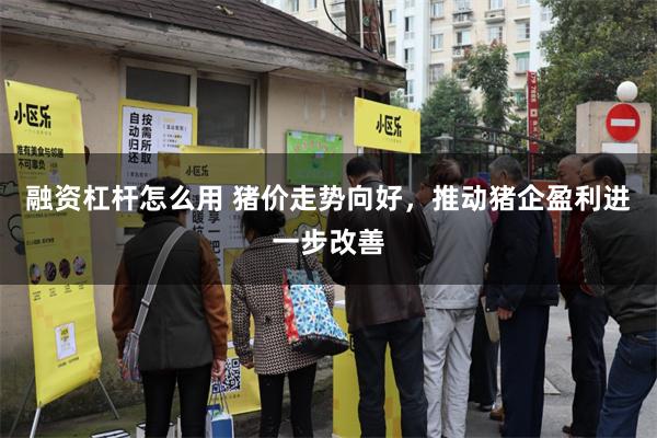 融资杠杆怎么用 猪价走势向好,推动猪企盈利进一步改善