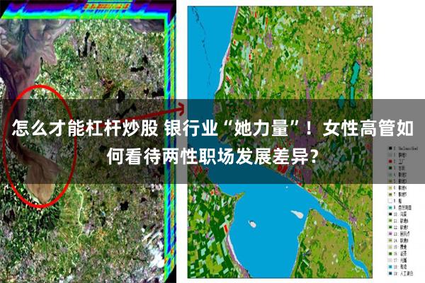 怎么才能杠杆炒股 银行业“她力量”!女性高管如何看待两性职场发展差异?