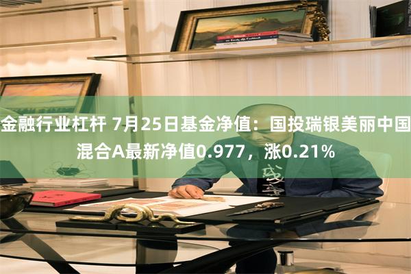 金融行业杠杆 7月25日基金净值:国投瑞银美丽中国混合A最新净值0.977,涨0.21%