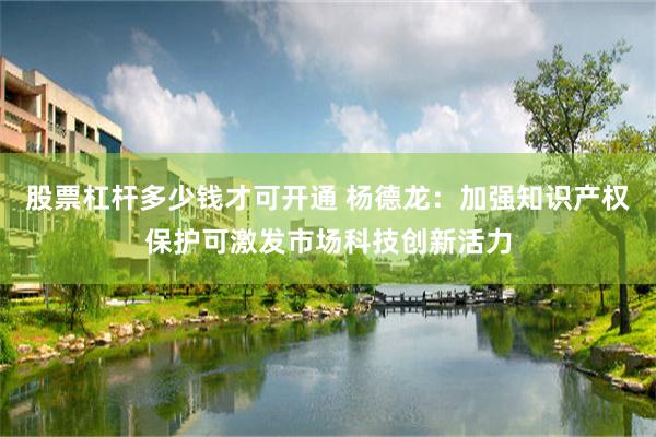 股票杠杆多少钱才可开通 杨德龙:加强知识产权保护可激发市场科技创新活力