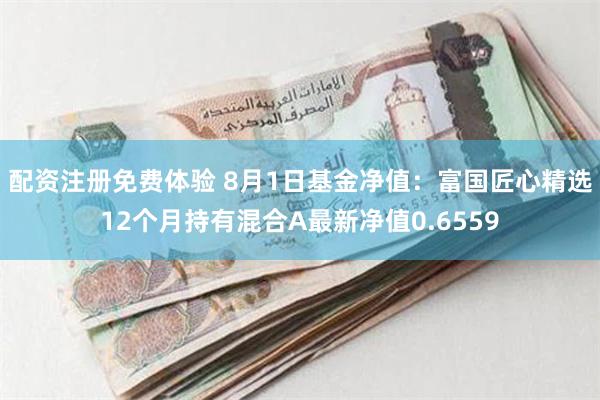 配资注册免费体验 8月1日基金净值:富国匠心精选12个月持有混合A最新净值0.6559