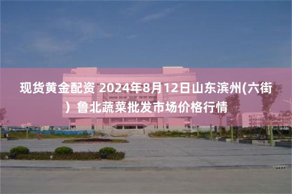 现货黄金配资 2024年8月12日山东滨州(六街)鲁北蔬菜批发市场价格行情