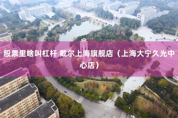 股票里啥叫杠杆 戴尔上海旗舰店（上海大宁久光中心店）