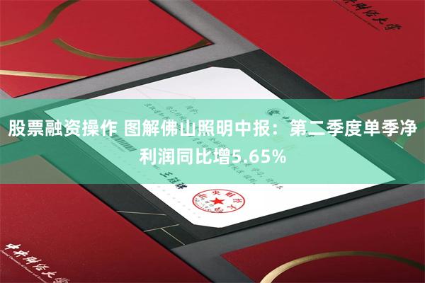 股票融资操作 图解佛山照明中报:第二季度单季净利润同比增5.65%