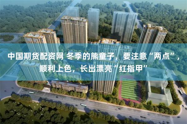 中国期货配资网 冬季的熊童子，要注意“两点”，顺利上色，长出漂亮“红指甲”