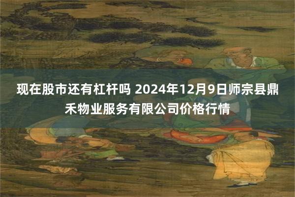 现在股市还有杠杆吗 2024年12月9日师宗县鼎禾物业服务有限公司价格行情