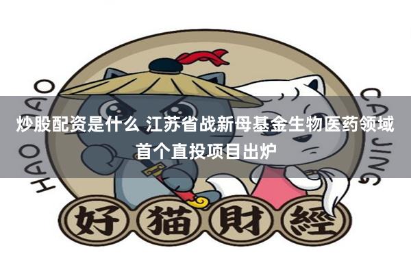 炒股配资是什么 江苏省战新母基金生物医药领域首个直投项目出炉