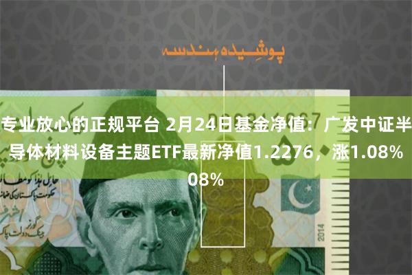 专业放心的正规平台 2月24日基金净值:广发中证半导体材料设备主题ETF最新净值1.2276,涨1.08%