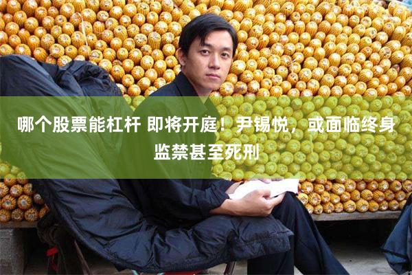 哪个股票能杠杆 即将开庭！尹锡悦，或面临终身监禁甚至死刑