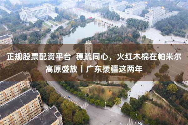 正规股票配资平台  穗疏同心，火红木棉在帕米尔高原盛放丨广东援疆这两年