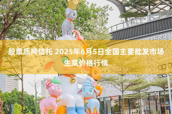 股票质押信托 2025年6月5日全国主要批发市场生菜价格行情