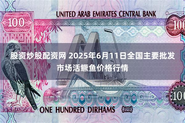股资炒股配资网 2025年6月11日全国主要批发市场活鳜鱼价格行情