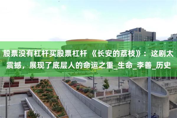 股票没有杠杆买股票杠杆 《长安的荔枝》：这剧太震撼，展现了底层人的命运之重_生命_李善_历史