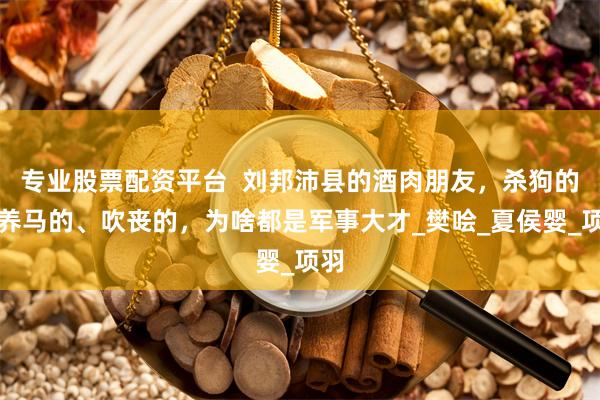 专业股票配资平台  刘邦沛县的酒肉朋友，杀狗的、养马的、吹丧的，为啥都是军事大才_樊哙_夏侯婴_项羽